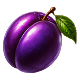 Plum